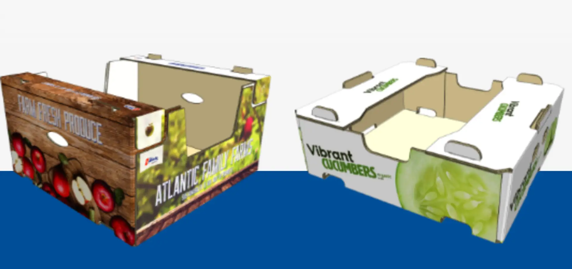 67cf4a39d82cdaf6c73096ea